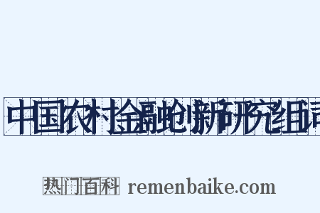 中国农村金融创新研究组词是什么意思的图片